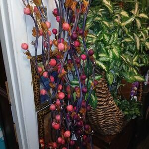 Flower Stems Purple, Pink, and Peach